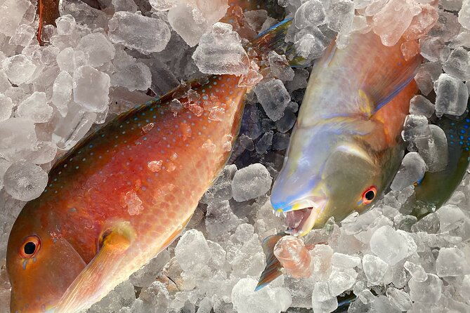 3/4 Day 7 Hour Offshore Fishing Charter - Why the Price Offers Good Value