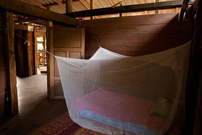 3-Day Kindred Spirit Elephant Sanctuary Chiang Mai - Deep Dive Into the Experience