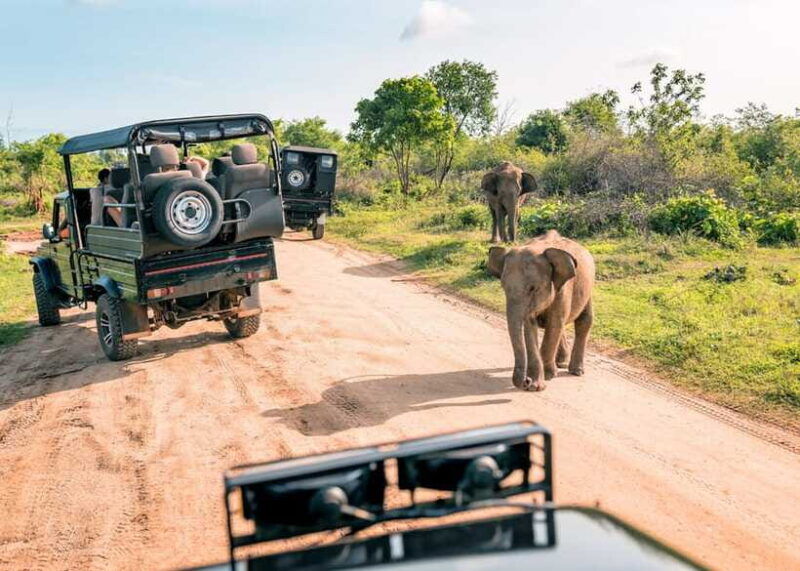 3-day-private-tour-sigiriya-dambulla-ella-with-train-tour