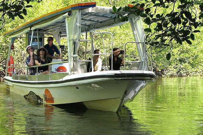 3-Day Small-Group Tour of North Queensland with Pick Up - What Makes This Tour Stand Out?