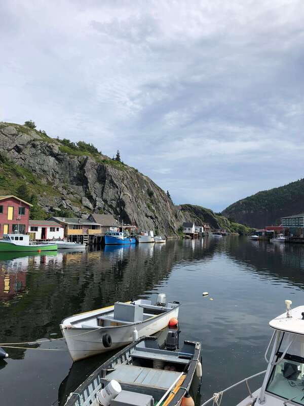 3-hour-city-tour-of-st-johns-small-group-up-to-ten-quests