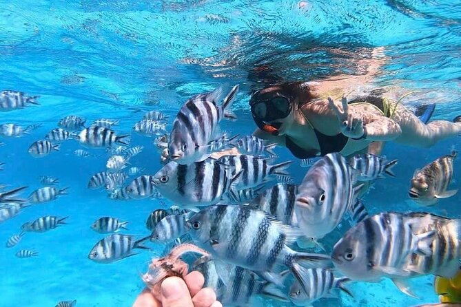 3-Hour Private Lagoon Tour Bora Bora - Why This Tour Is Worth Considering  