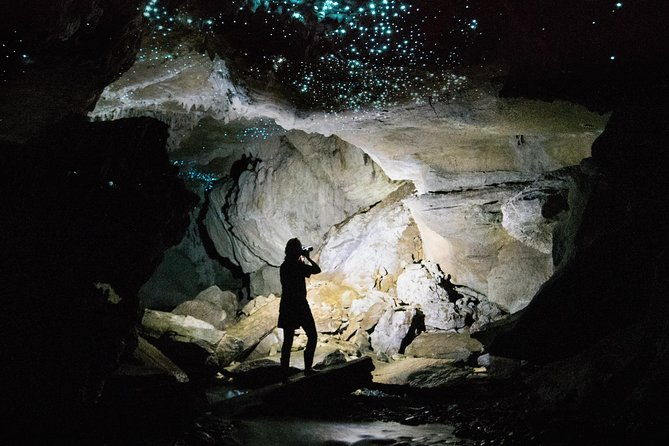 3-Hour Private Photography Tour in Waitomo Caves - The Value of the Experience