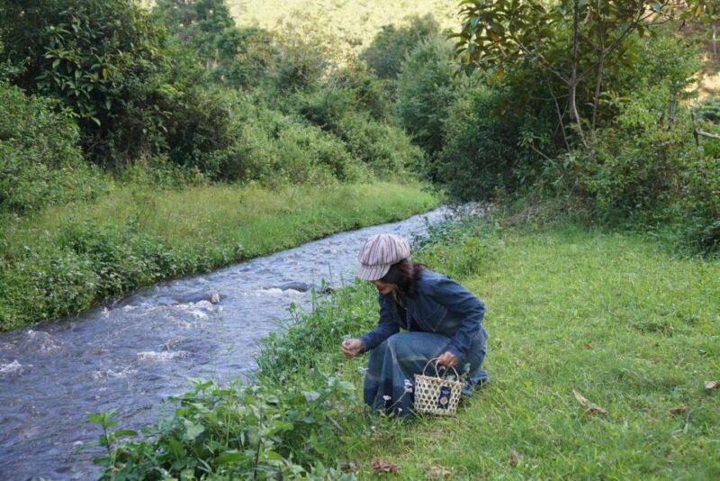 3-hours-trekking-tour-to-hidden-waterfall-and-sturgeon-farm