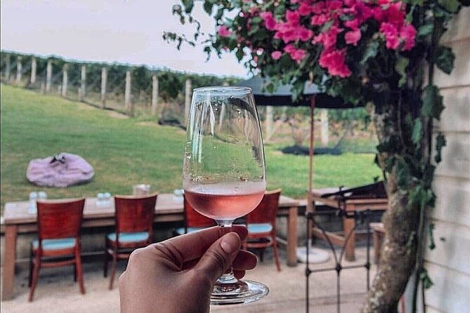 4.5-Hour Scenic Wine Tour with Private Guide & Up to 12 Tastings - The Value of the Tour