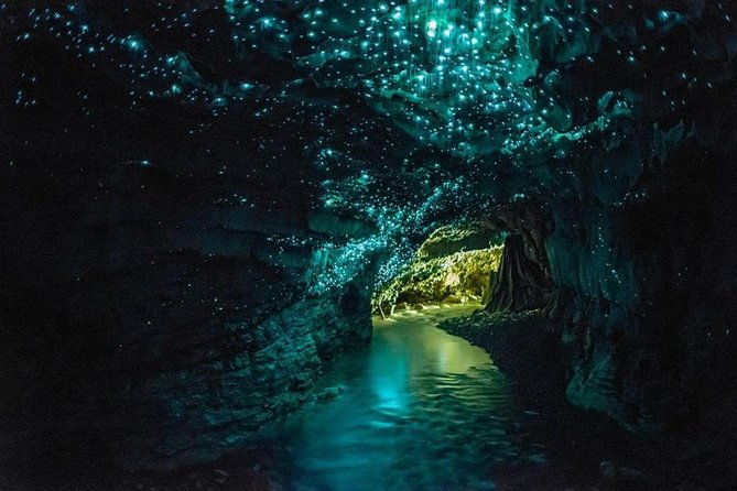4-Day Auckland to Wellington via Rotorua Tour - Exploring the Itinerary: What’s Included and Why It Matters