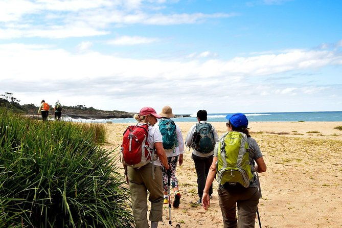 4 Day Murramarang Walk departs Canberra - Guided with Villa Accom - Day 4: Pebbly Beach and Final Coastal Discoveries  