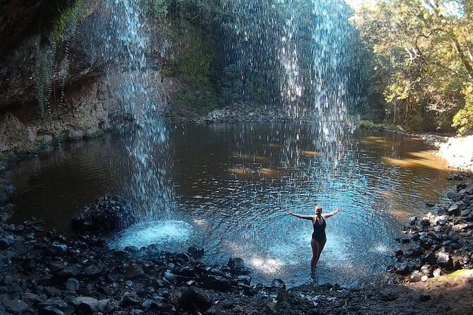 4 hour Byron Beyond Private Surf and Hinterland Troopy Tour - What the Tour Entails