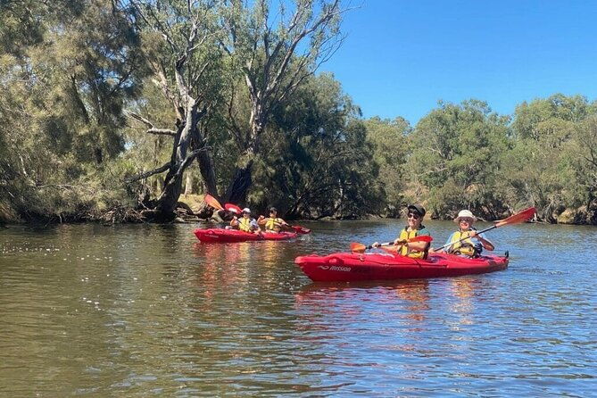 4 Hours Swan Valley Kayak, Wine & Dine Experience - Is This Tour Worth the Price?