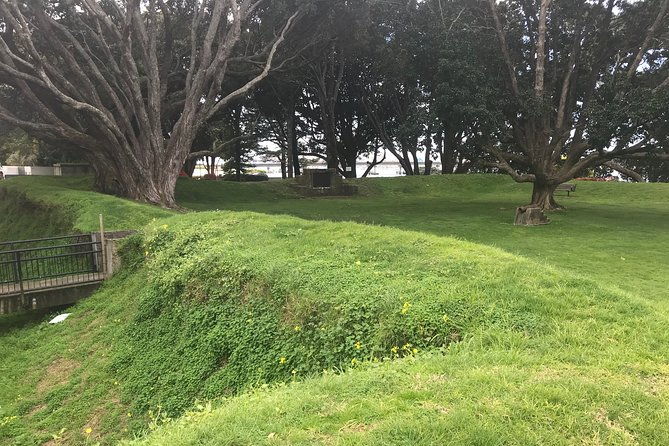 4hr Tauranga Scenic History and Tasting Tour FREE Kiwifruit Tasting - Who Should Consider This Tour?