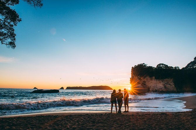 5 Day Coromandel Explorer from Auckland - Day 1: From Auckland to Coromandel Town