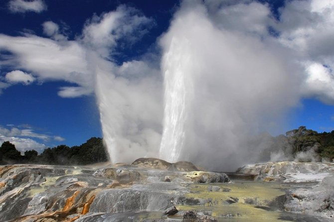 5-Day New Zealand North and South Island Highlights Tour - Pricing and Value: Is It Worth It?
