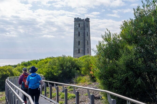 5hr Eden Tour in Nature; Beach, Lookout & National Park - Practical Considerations and Value