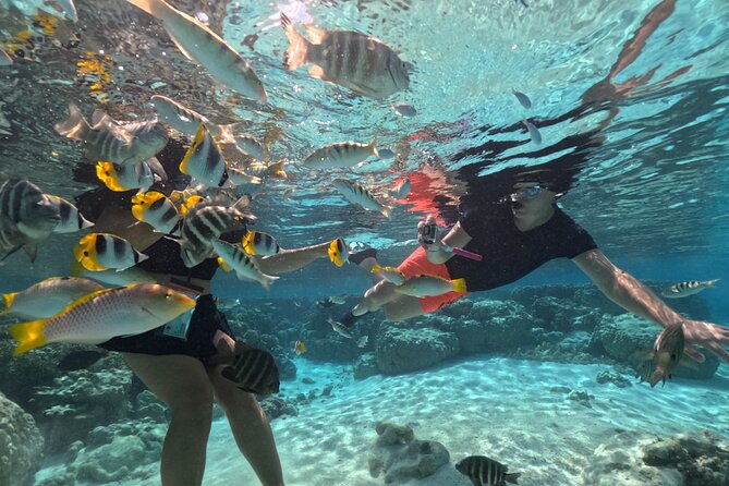 6-Hour JetSki Excursion around Raiatea - The Itinerary Breakdown  