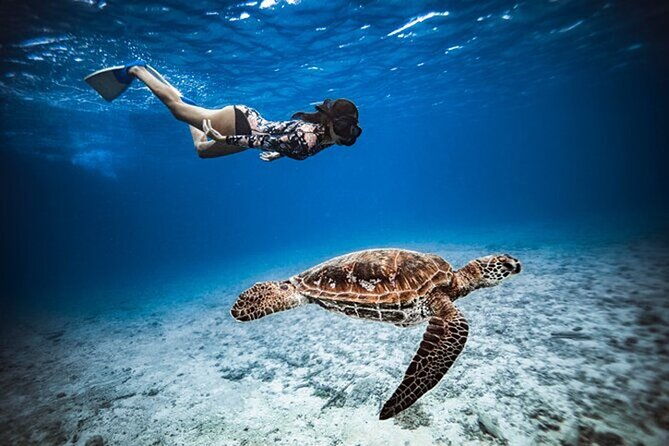 6 Hour Private Boat Activity with Snorkeling & Lunch - The Value of This Experience