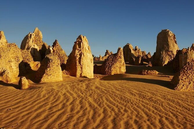 7 Days Perth All-Inclusive Touring Grand Package - Why This Tour Offers Real Value