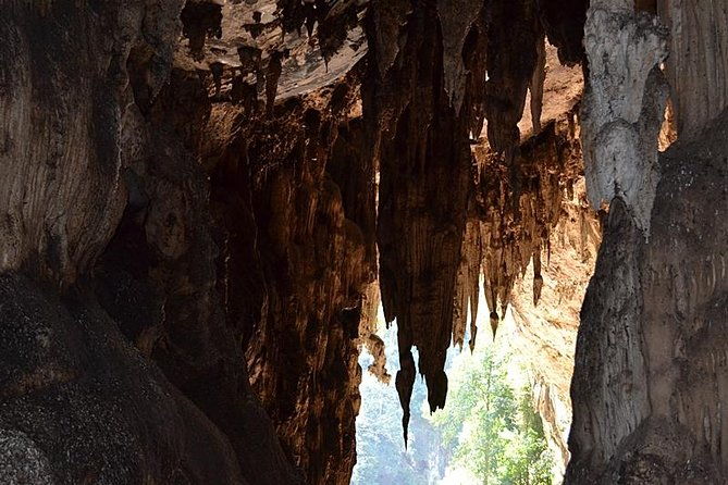 7 Days Trip Discover Northern Thailand - What Makes This Tour Stand Out?