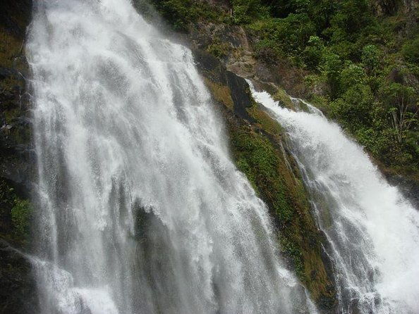 8-Day Cairns Tour: Great Barrier Reef, Kuranda, Daintree Rainforest - The Value of This Tour