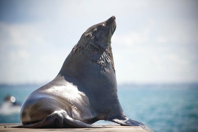 90 minute wildlife and scenic cruise - Is It Worth the Price?