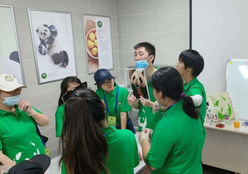 a-day-long-dream-tour-being-a-giant-panda-keeper%ef%bc%81