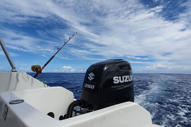A Day of Big Game Fishing in a small group - Detailed Itinerary and What to Expect