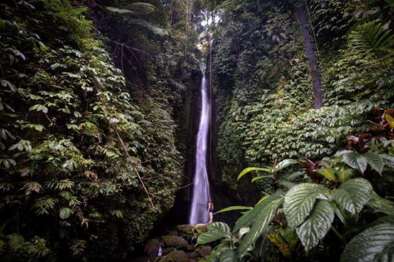 a-private-day-tour-to-explore-north-part-of-bali