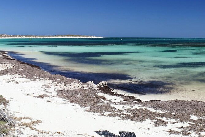 Abrolhos Island Scenic Flight And Snorkel Adventure From Perth - Price and Value