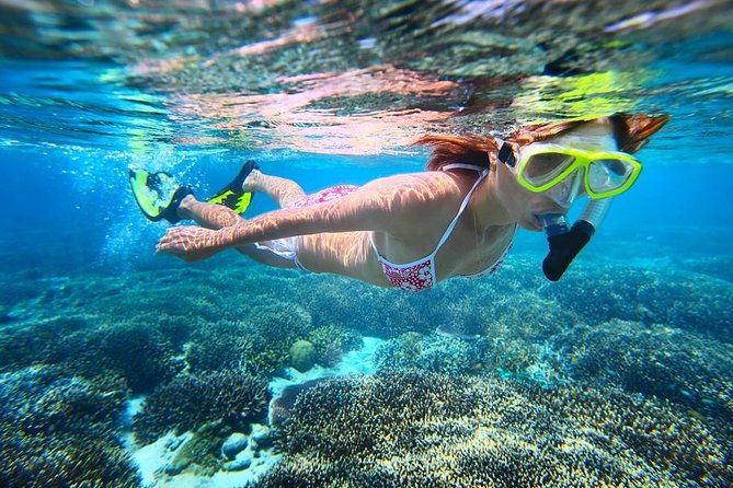 Abrolhos Islands Scenic Flight & Snorkel Adventure from Perth - Exploring East Wallaby Island