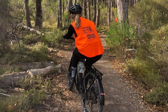 Adelaide Hills full day E-Bike Hire - Detailed Breakdown of the Tour Experience