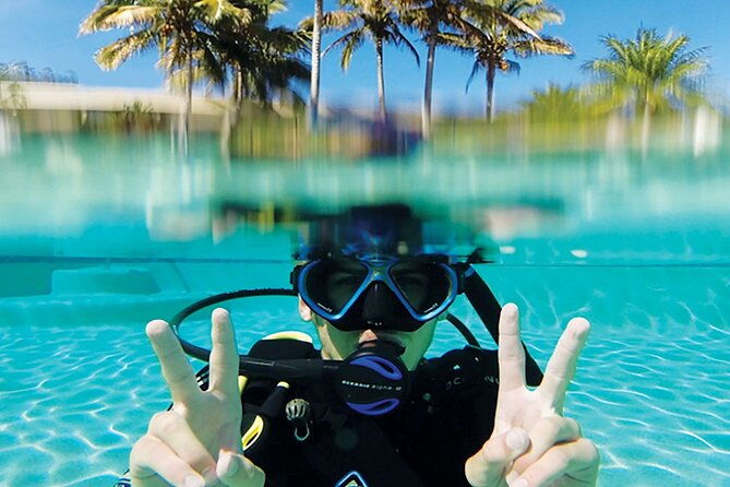 Adventure Moreton Island Scuba Dive Tour - The Realities of the Tour – What Travelers Experience