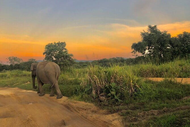 Adventure safari Experience in Hurulu Eco Park, Sri Lanka - What Reviewers Say About the Experience
