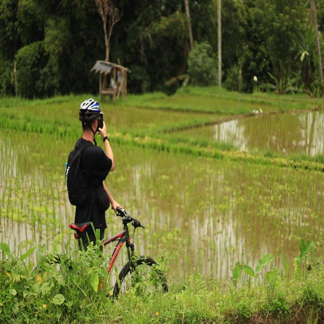 afternoon-downhill-cycling-tour-through-jungle-and-meal