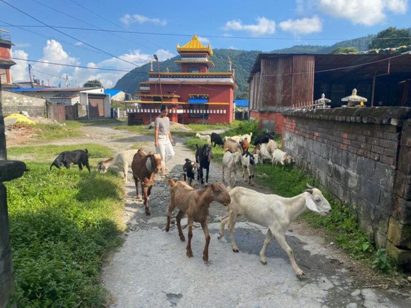 afternoon-tibetan-cultural-tour