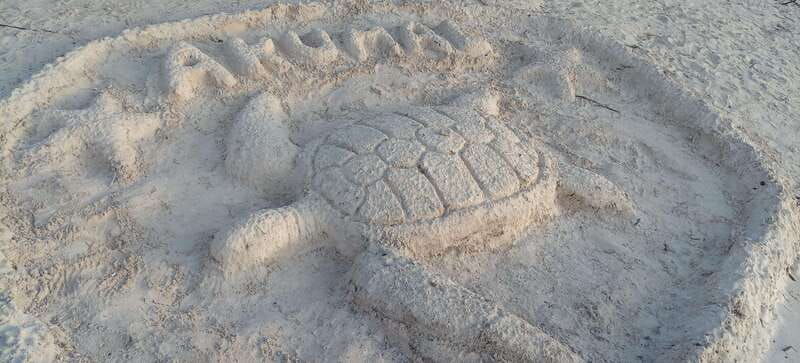 akumal-swimming-with-turtles-tour