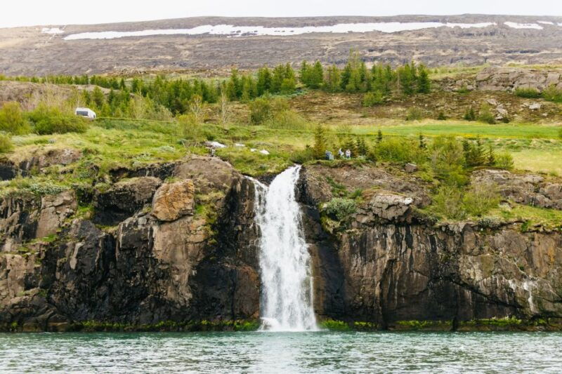 akureyri-3-hour-classic-whale-watching-tour-by-ship