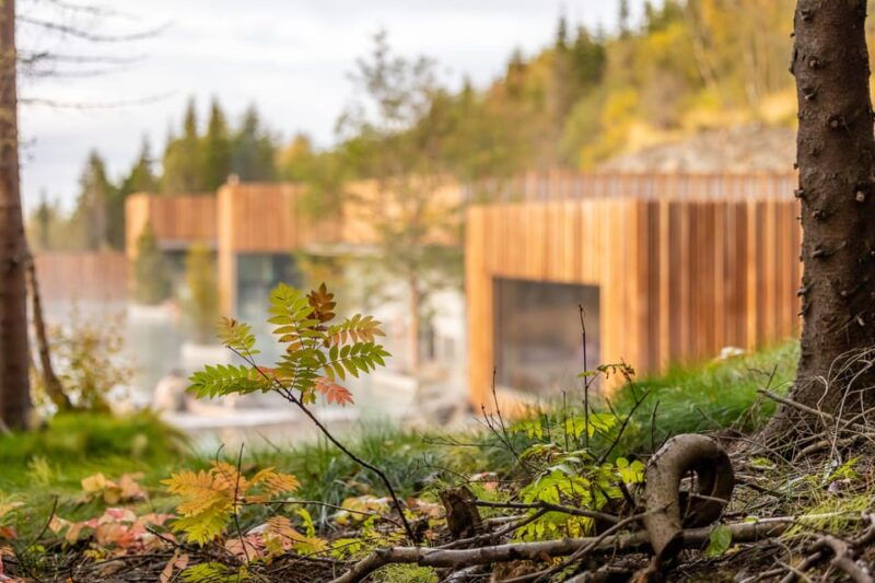 akureyri-forest-lagoon-entrance-ticket
