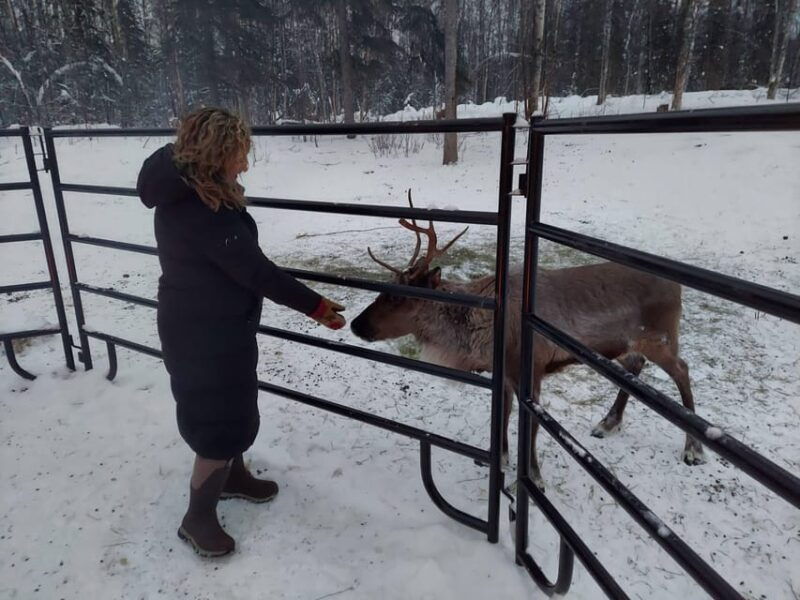 alaskan-fireside-cookout-with-reindeer-2