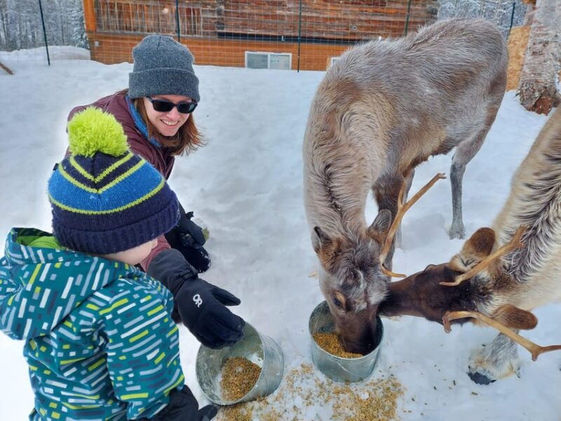 alaskan-fireside-cookout-with-reindeer