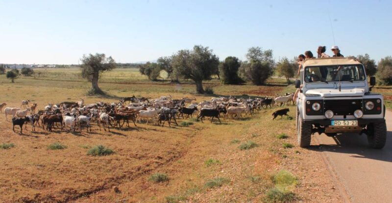 albufeira-jeep-safari-half-day-countryside-tour