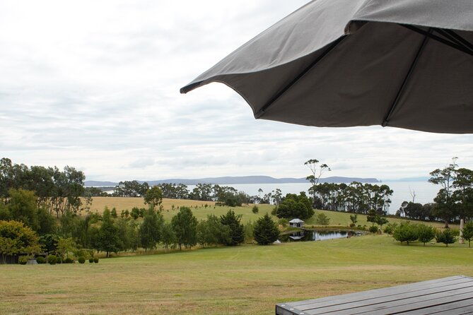 All inclusive Private Bruny Island Discovery Tour - Transportation & Comfort