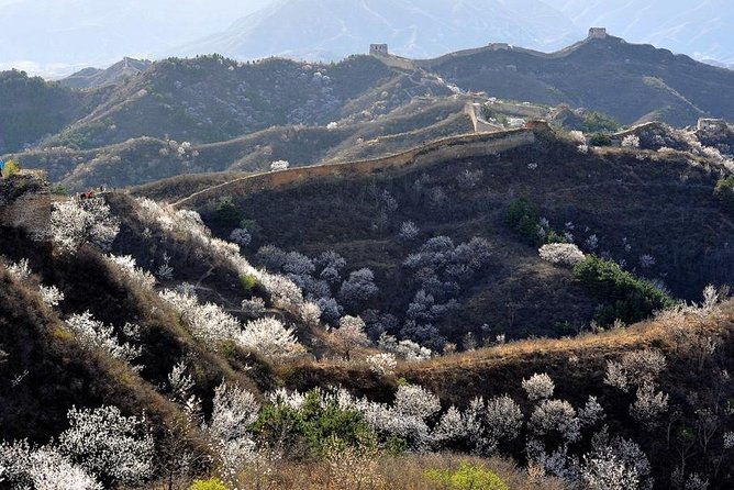 All-Inclusive Private Wild Great Wall Hiking Tour at Gubeikou - The Value of This Experience