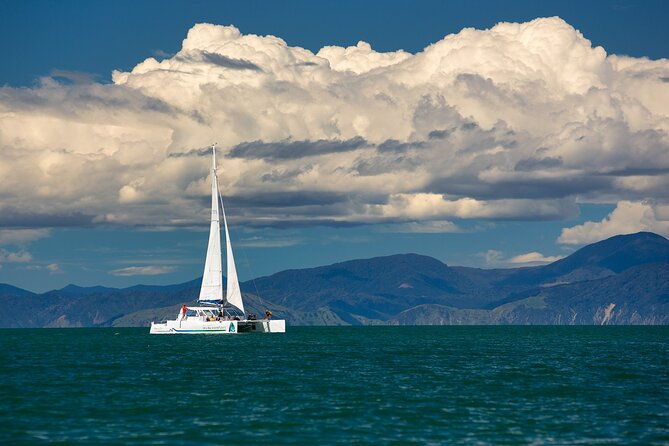 Anchorage Walk and Sail - An In-Depth Look at the Anchorage Walk and Sail Experience