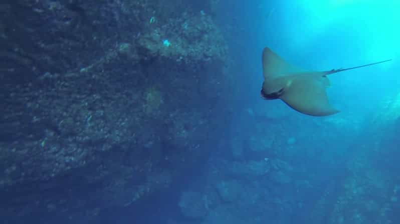 angra-do-heroismo-snorkeling-tour-by-boat