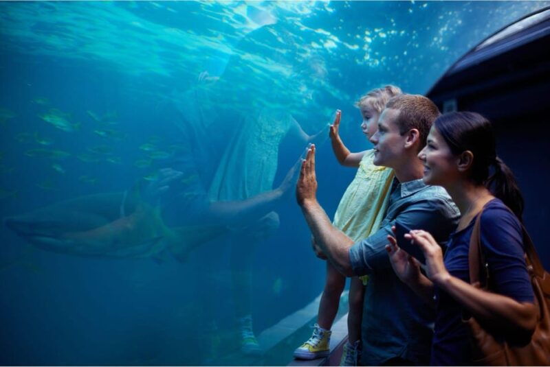 antalya-aquarium-and-wax-museum-entry-ticket