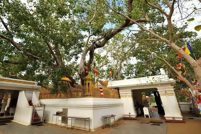 Anuradhapura Ancient City Tuk Tuk Tour - A Few Considerations