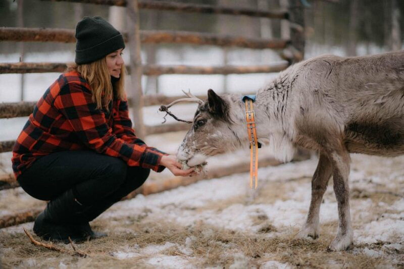 arctic-reindeer-farm-experience-with-snowshoeing-in-the-wild