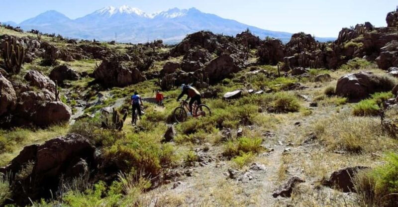 arequipa-3-hour-mountain-bike-tour