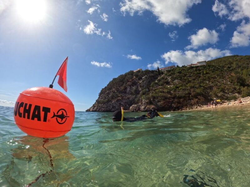 arrabida-snorkeling-experience-in-arrabida-marine-reserve