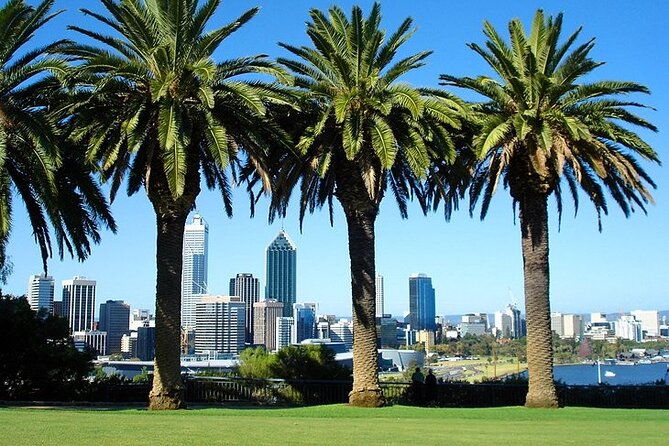 Arrival Private Transfer: Perth Airport PER to Perth City in Luxury Van - Who Will Love This Service?