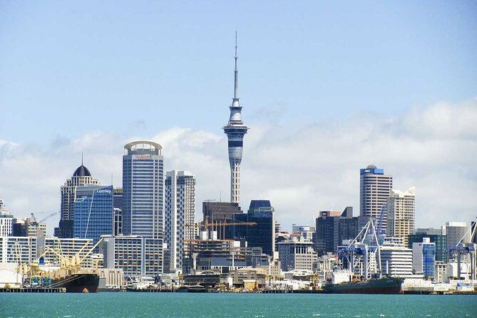 Auckland Airport Transfers: Auckland to Auckland Airport AKL in Business Car - Final Thoughts